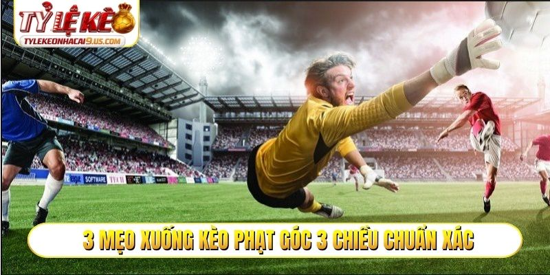 3 mẹo xuống kèo phạt góc 3 chiều chuẩn xác