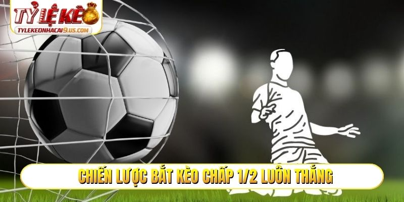 Chiến lược bắt kèo chấp 1/2 luôn thắng