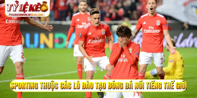 Sporting thuộc các lò đào tạo bóng đá nổi tiếng thế giới